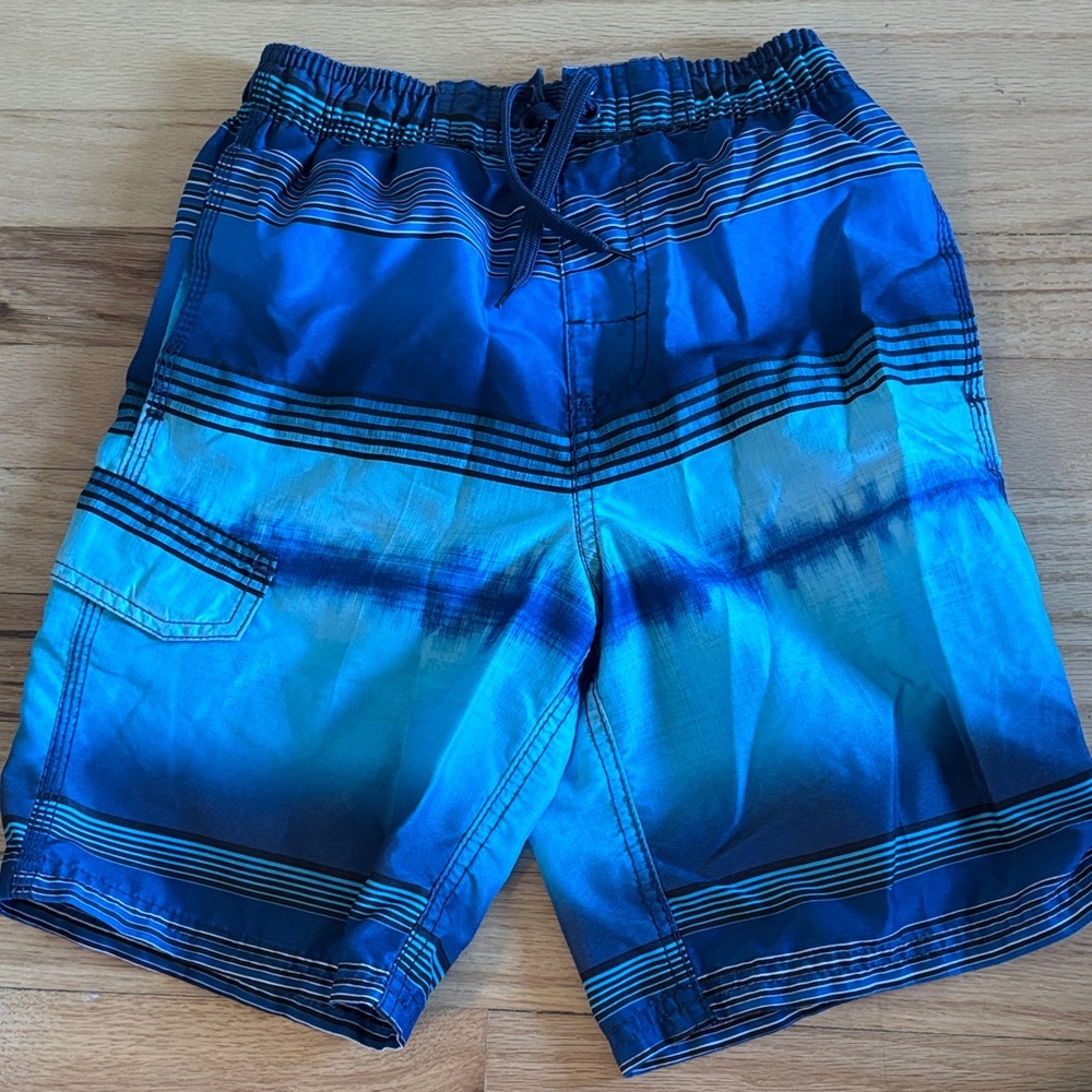 Blue Striped Swim Shorts